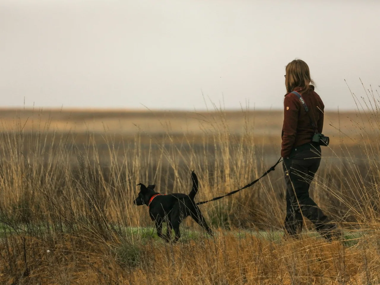 woman in brown jacket and black pants walking with black labrador retriever on brown grass field
